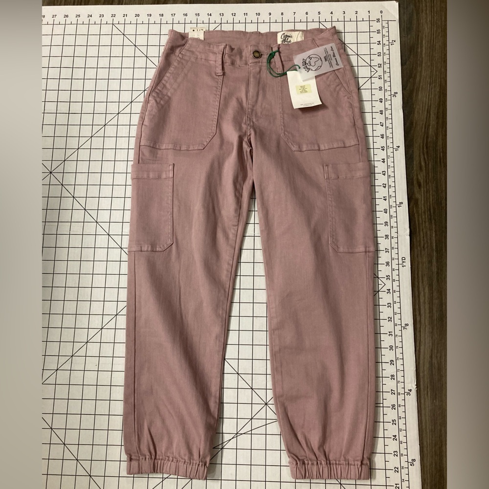 NWT Cosmic Blue Love by Pistola Women’s Size 27P Wallflower Cargo Pants